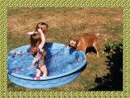 {Pumpkin attacking water with Arielle}