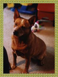 {Pumpkin concentrating on me}